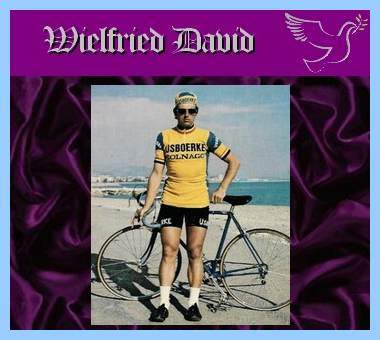 Wielfried David